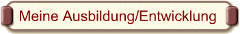 Meine Ausbildung/Entwicklung